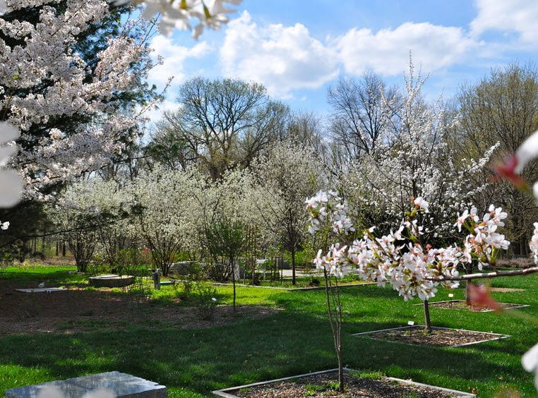 Gabis Arboretum at Purdue Northwest, United States